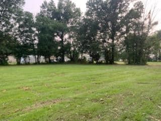 Newly cut grass - Campbellsburg, IN | Twisted Electric LLC 