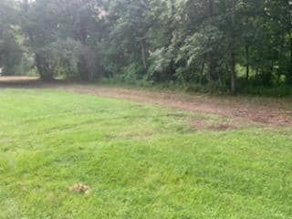 Large healthy green field with trees in the background - Campbellsburg, IN | Twisted Electric LLC 