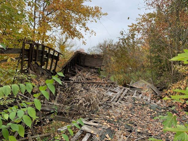 Pile of wood laying on the ground in the middle of a forest - Campbellsburg, IN | Twisted Electric LLC 