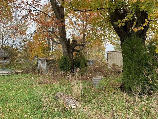 Large tree with half branch beside house - Campbellsburg, IN | Twisted Electric LLC 