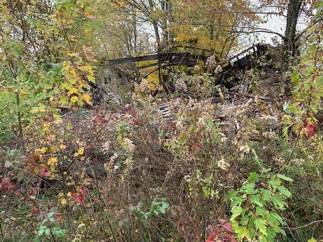 Pile of junk sitting in the middle of a forest surrounded by trees - Campbellsburg, IN | Twisted Electric LLC 