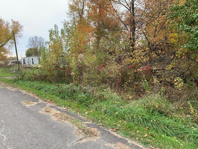 Grasses on the driveway - Campbellsburg, IN | Twisted Electric LLC 