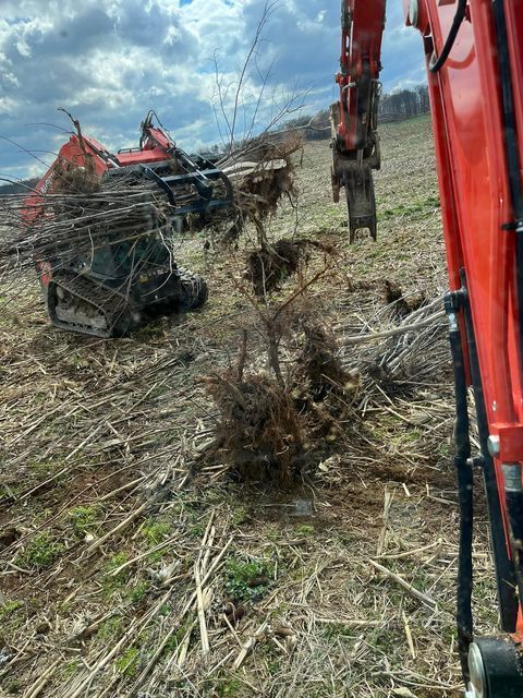 Red excavator moving a pile of branches in a field - Campbellsburg, IN | Twisted Electric LLC 