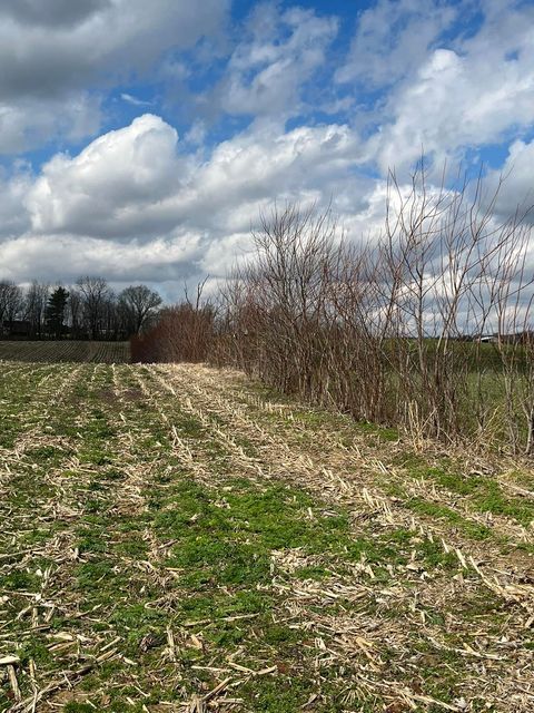 Field with trees in the background and a blue sky with clouds - Campbellsburg, IN | Twisted Electric LLC 