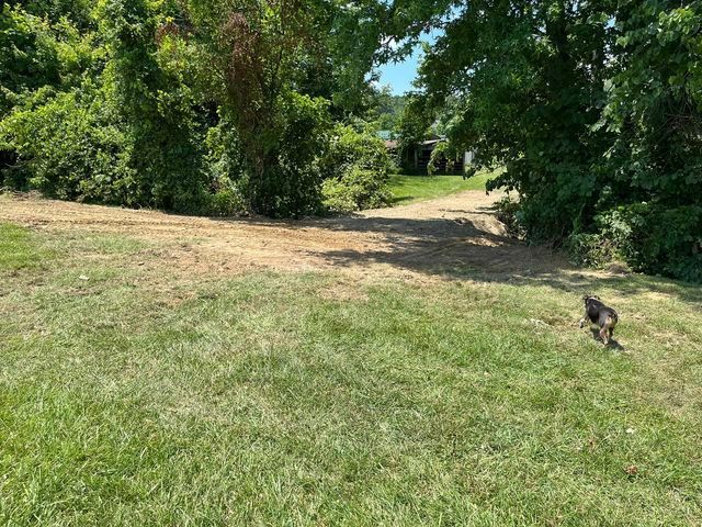Dog walking across a lush green field - Campbellsburg, IN | Twisted Electric LLC 