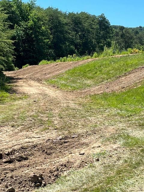 Dirt road going through a grassy field forest background - Campbellsburg, IN | Twisted Electric LLC 