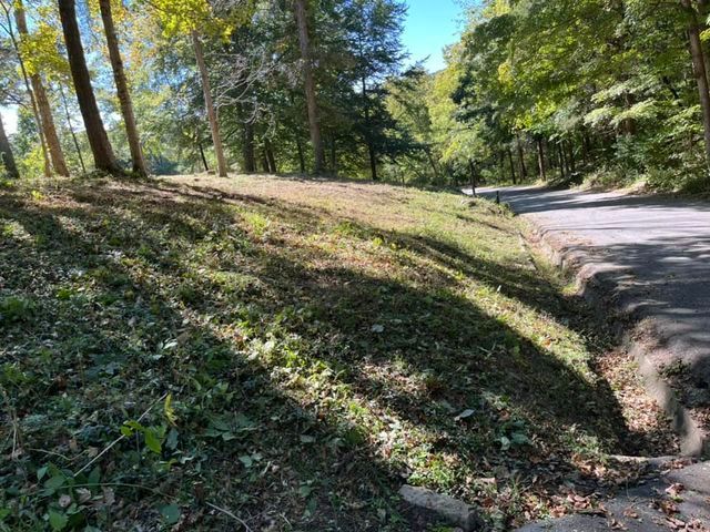 Dirt road going through a forest with tall trees on the side of it - Campbellsburg, IN | Twisted Electric LLC 