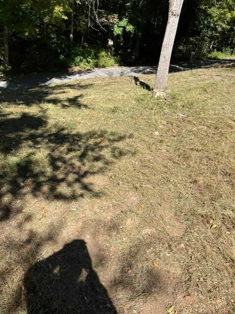 Shadow of a person casted on a lush green field - Campbellsburg, IN | Twisted Electric LLC 