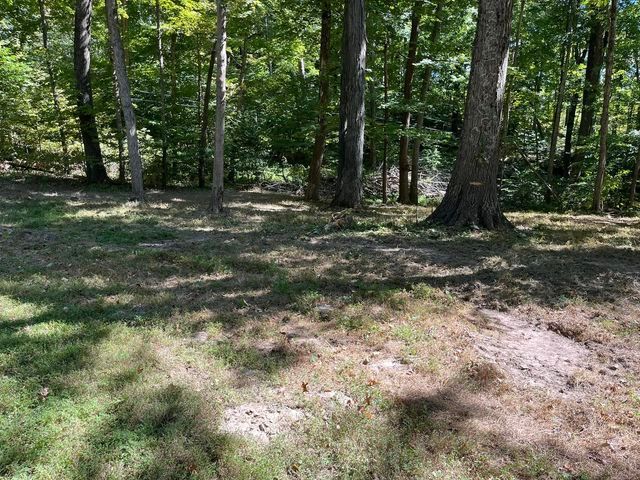 Forest - Campbellsburg, IN | Twisted Electric LLC 