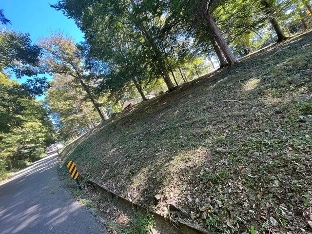 Road going down a hill with trees on the side of it - Campbellsburg, IN | Twisted Electric LLC 
