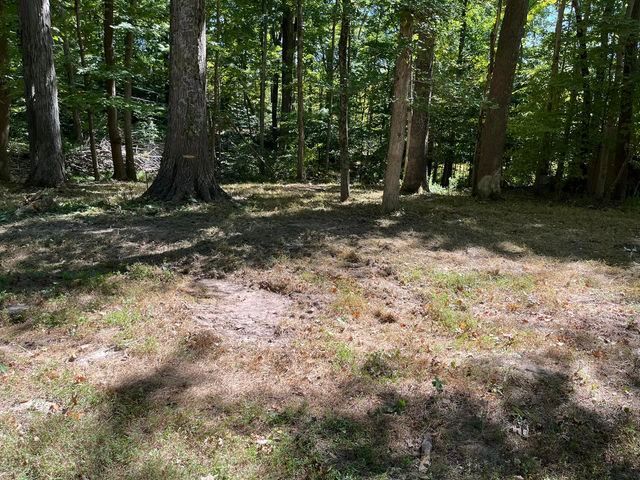 Dry grass in the middle of the woods - Campbellsburg, IN | Twisted Electric LLC 