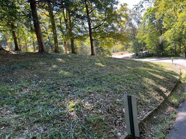 Lush green hillside surrounded by trees and grass next to a road - Campbellsburg, IN | Twisted Electric LLC 