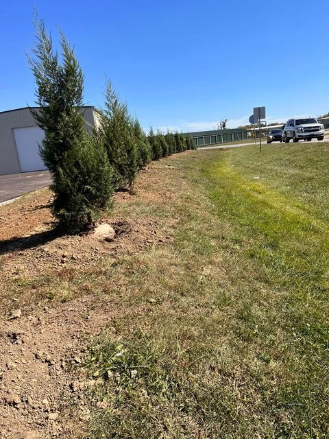 Row of trees growing in a grassy area next to a road - Campbellsburg, IN | Twisted Electric LLC 