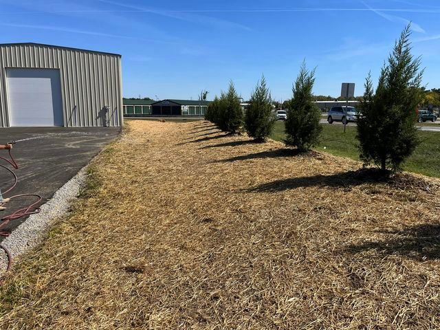 Row of trees growing in a field next to a building - Campbellsburg, IN | Twisted Electric LLC 