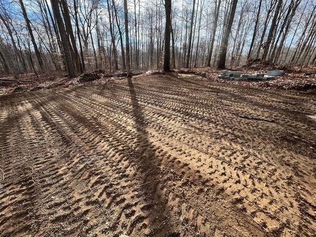 Dirt road in the middle of a forest with trail track - Campbellsburg, IN | Twisted Electric LLC 