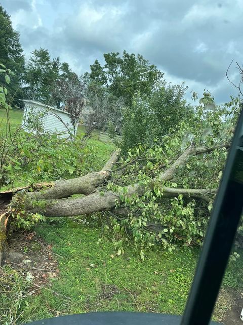 Uprooted trees - Campbellsburg, IN | Twisted Electric LLC 