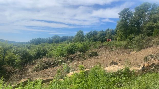 There is a red house in the middle of the woods - Campbellsburg, IN | Twisted Electric LLC 