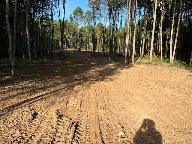 Dirt road in the middle of a forest with trees in the background - Campbellsburg, IN | Twisted Electric LLC 