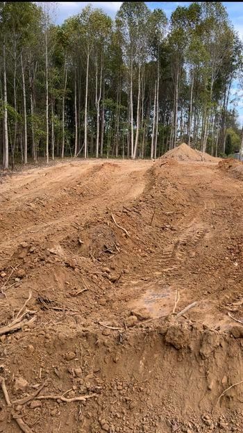 Pile of dirt sitting in the middle of a forest with tall trees - Campbellsburg, IN | Twisted Electric LLC 