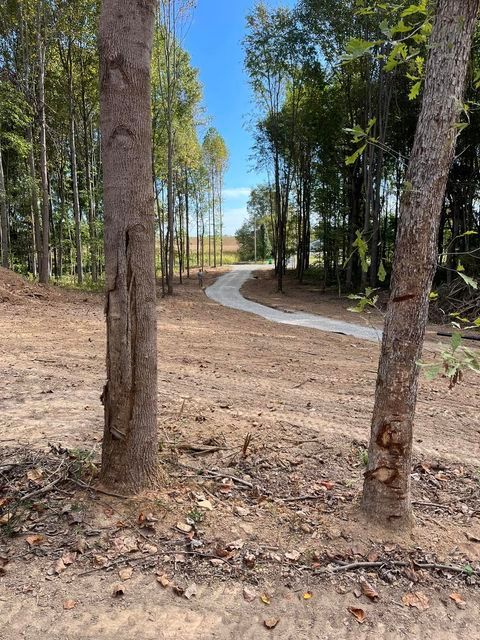 Dirt road going through a forest with trees on both sides - Campbellsburg, IN | Twisted Electric LLC 
