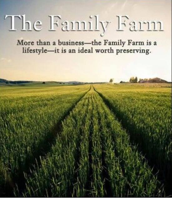 The family farm - Campbellsburg, IN | Twisted Electric LLC 