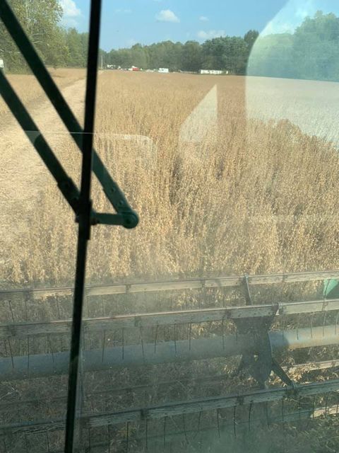 View of a field from inside a combine harvester - Campbellsburg, IN | Twisted Electric LLC 