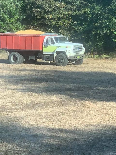 Red bed dump truck parked in a field filled with dry grass - Campbellsburg, IN | Twisted Electric LLC 