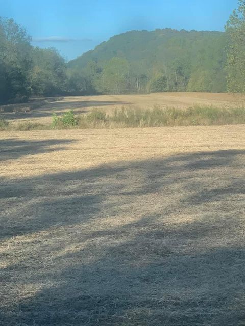 Hazy field of dry grass with a mountain in the background - Campbellsburg, IN | Twisted Electric LLC 