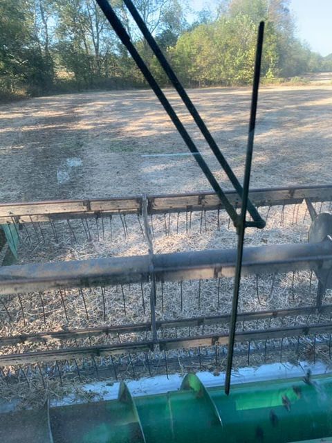 Combine harvester cutting wheat in a field - Campbellsburg, IN | Twisted Electric LLC 