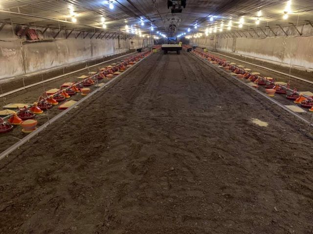 Chicken coop with a lot of feeders and a truck in the background - Campbellsburg, IN | Twisted Electric LLC 