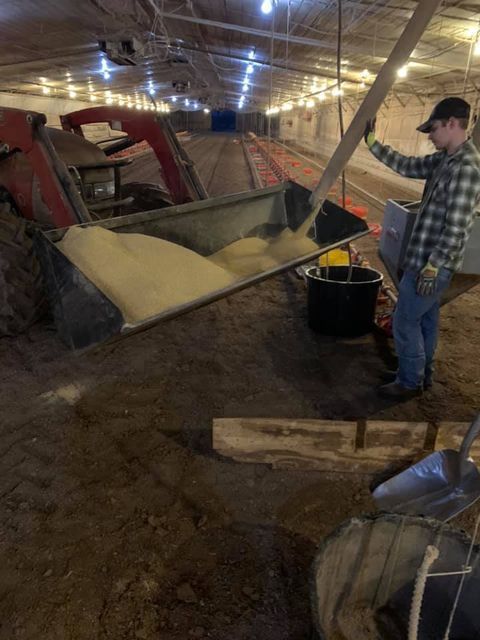 Man filling tractor bucket with small grains - Campbellsburg, IN | Twisted Electric LLC 