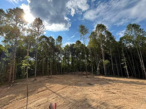 Clouds, Trees, And Land - Campbellsburg, IN - Twisted Electric