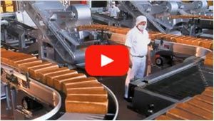 Plastiseal Industrial S.A. de C.V.