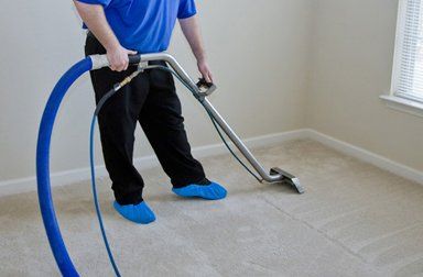 We can removes dirt and bacteria from your carpets