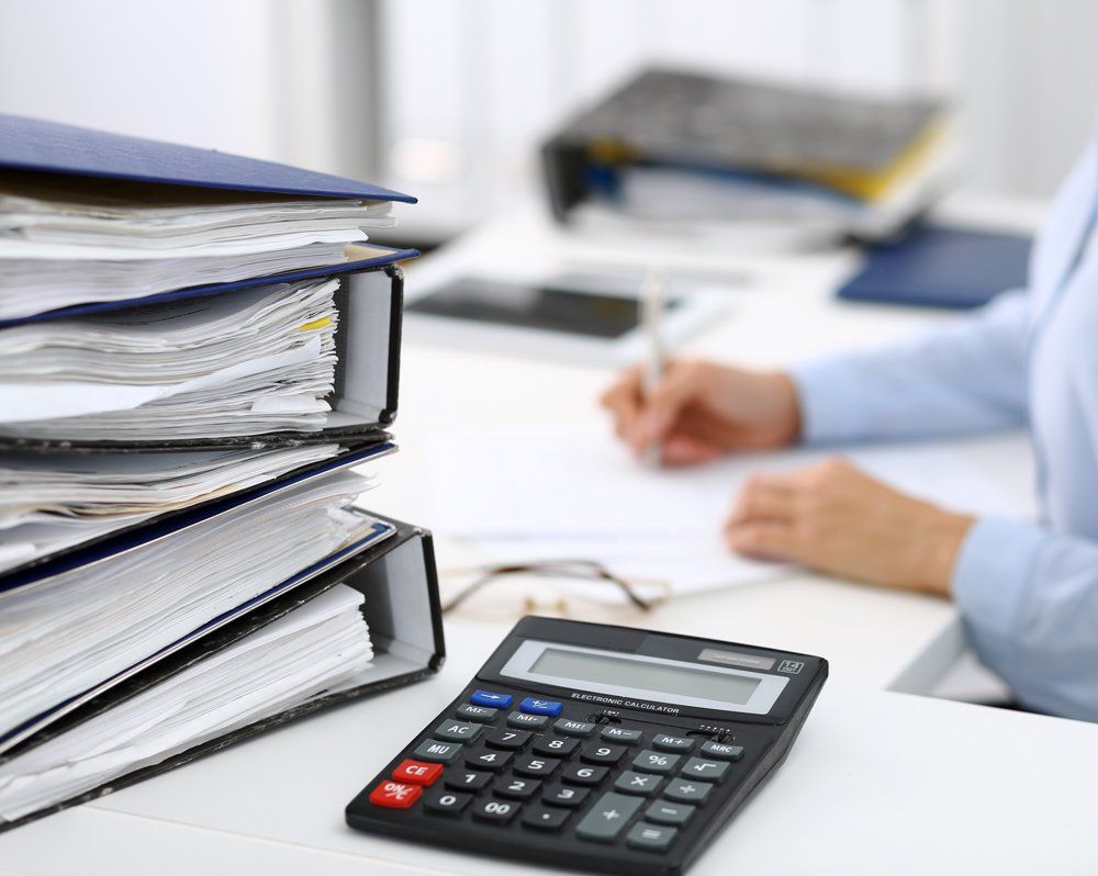 Financial Agent Doing Bookkeeping