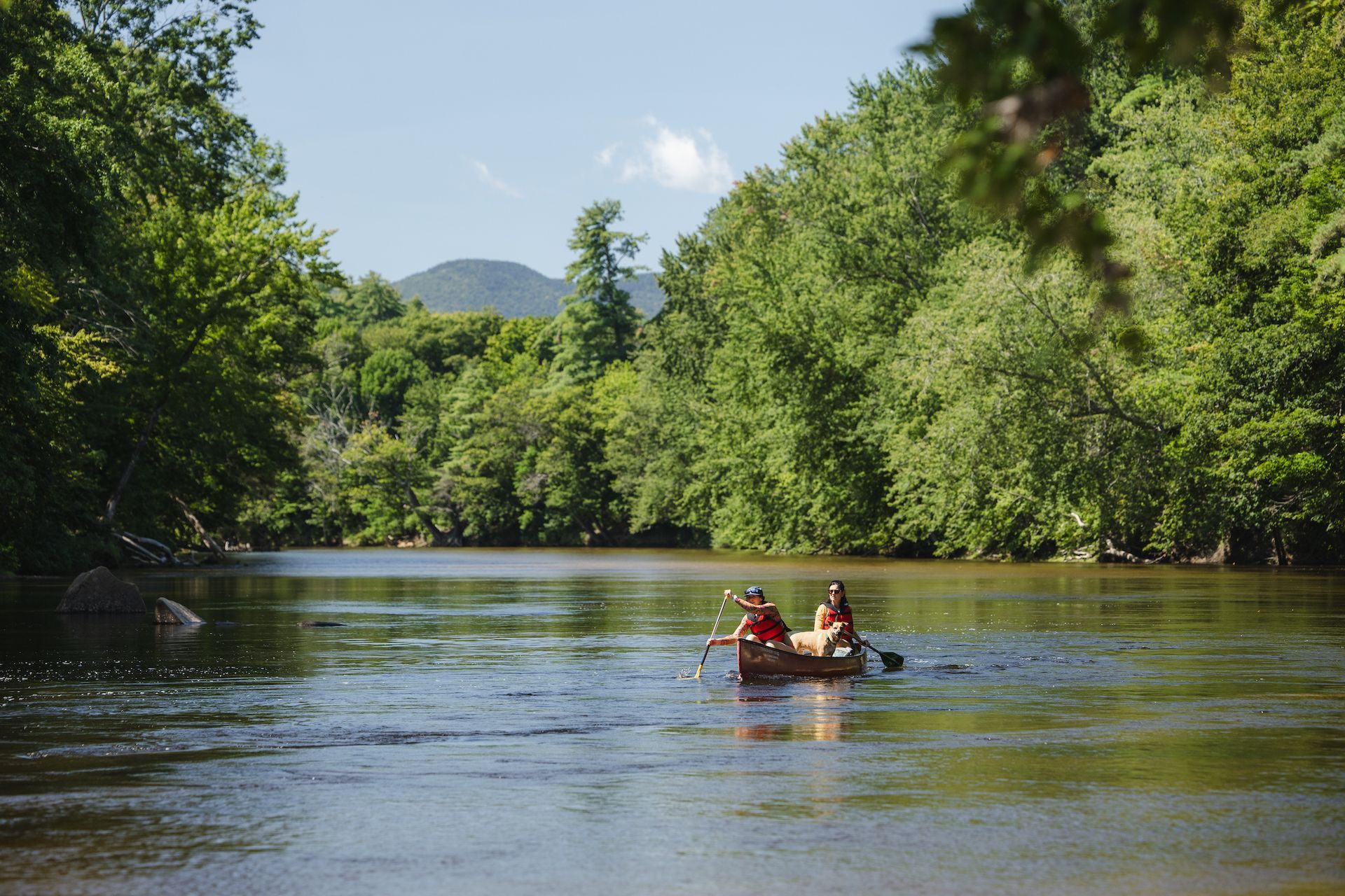 Two people are paddling a canoe down a river surrounded by trees.