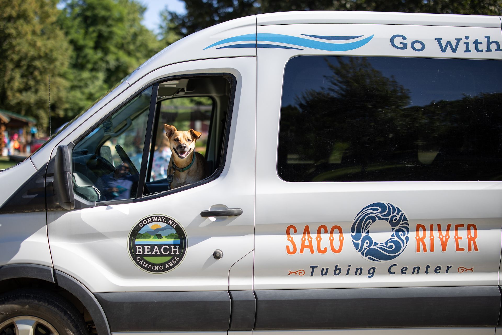 A dog is sitting in the driver 's seat of a saco river tubing center van.