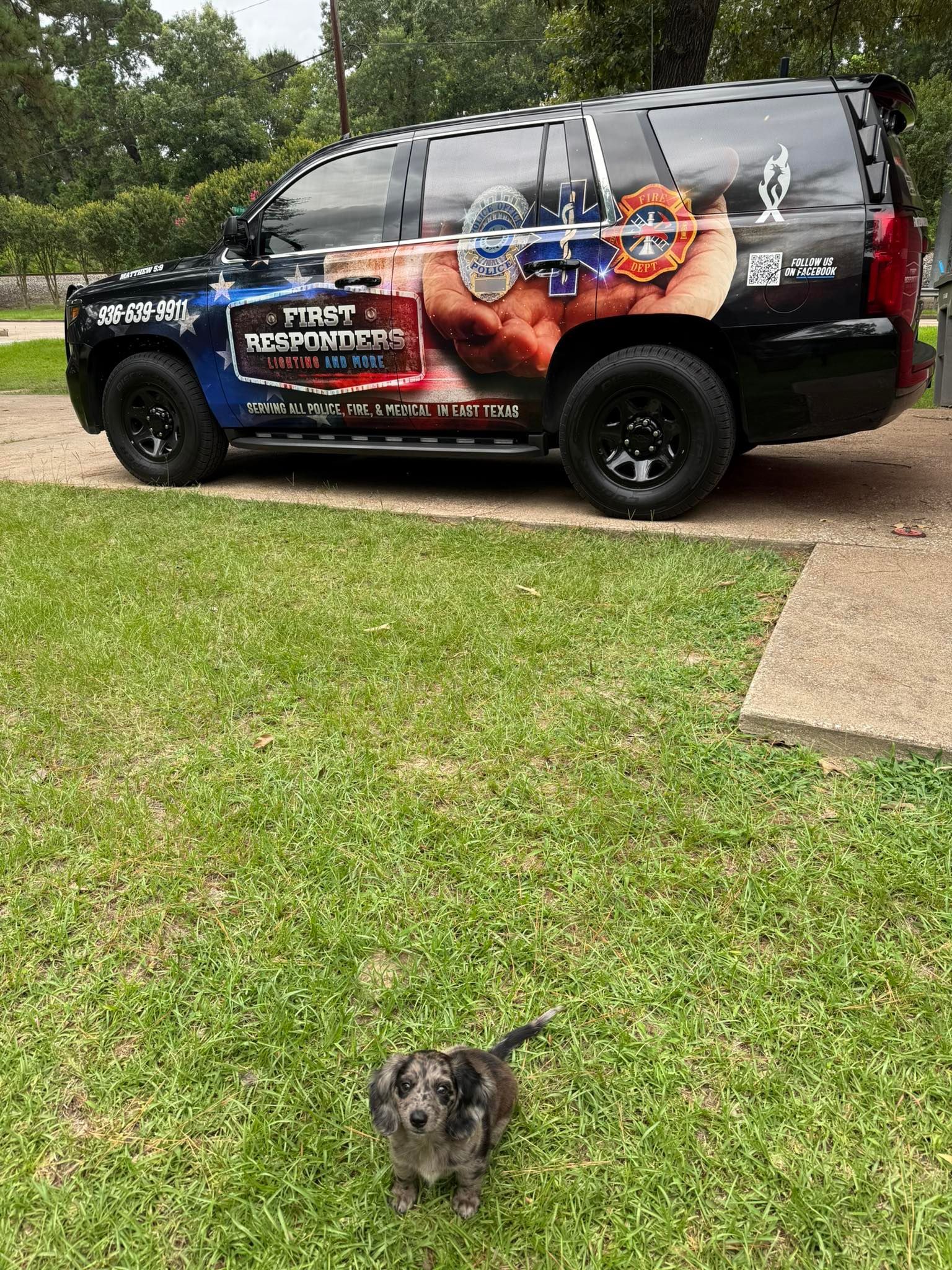 A small dog looks up at the camera in front of a wrapped black SUV on green grass.