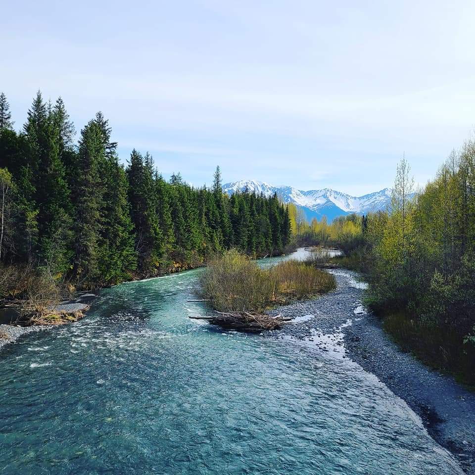 Alyeska Resort Girdwood Alaska Alyeska Hotels Girdwood Rentals