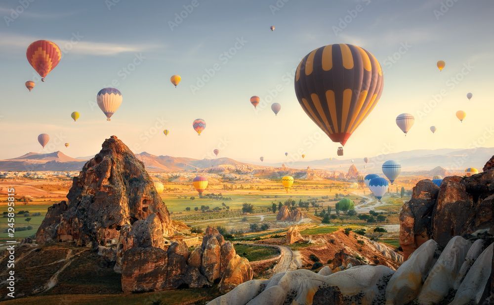Hot air balloons over a valley with rock formations at sunrise.