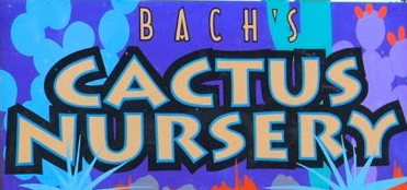 Bach's Cactus Nursery