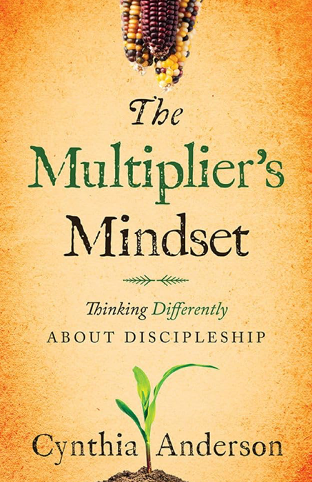 A book called the multiplier 's mindset by cynthia anderson