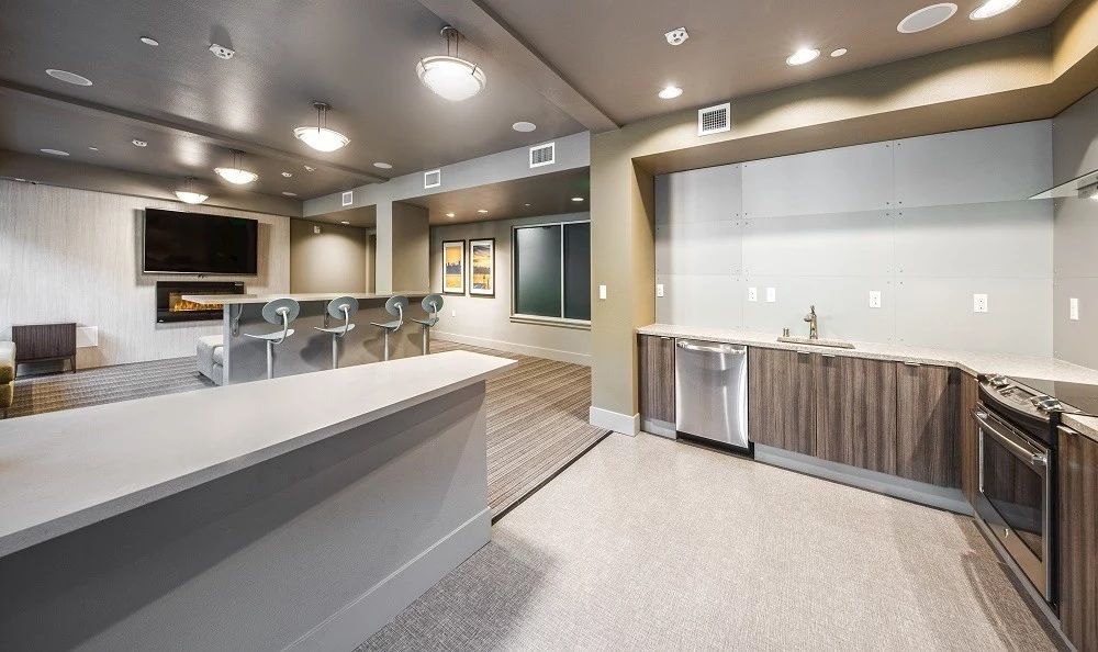 Modern kitchen and bar area with countertops, stainless steel appliances, and a fireplace.
