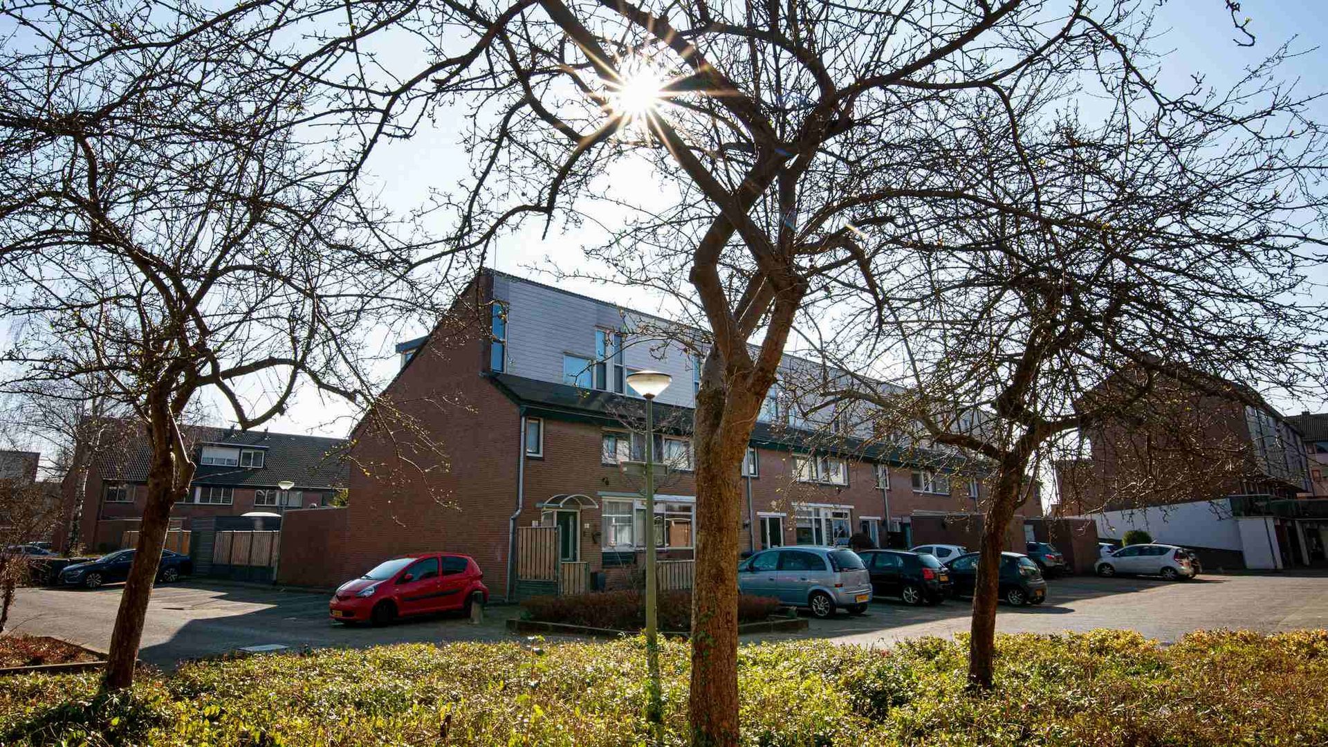 De zon schijnt door de bomen voor een rij huizen.