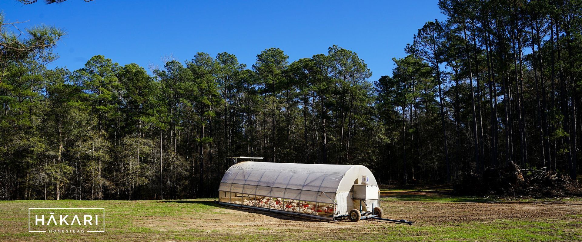 Greenhouse in a field with trees and a clear blue sky.
