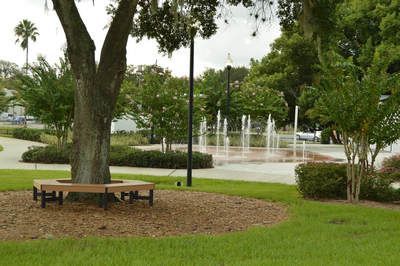 A tree with a bench around it in a park with a fountain in the background
