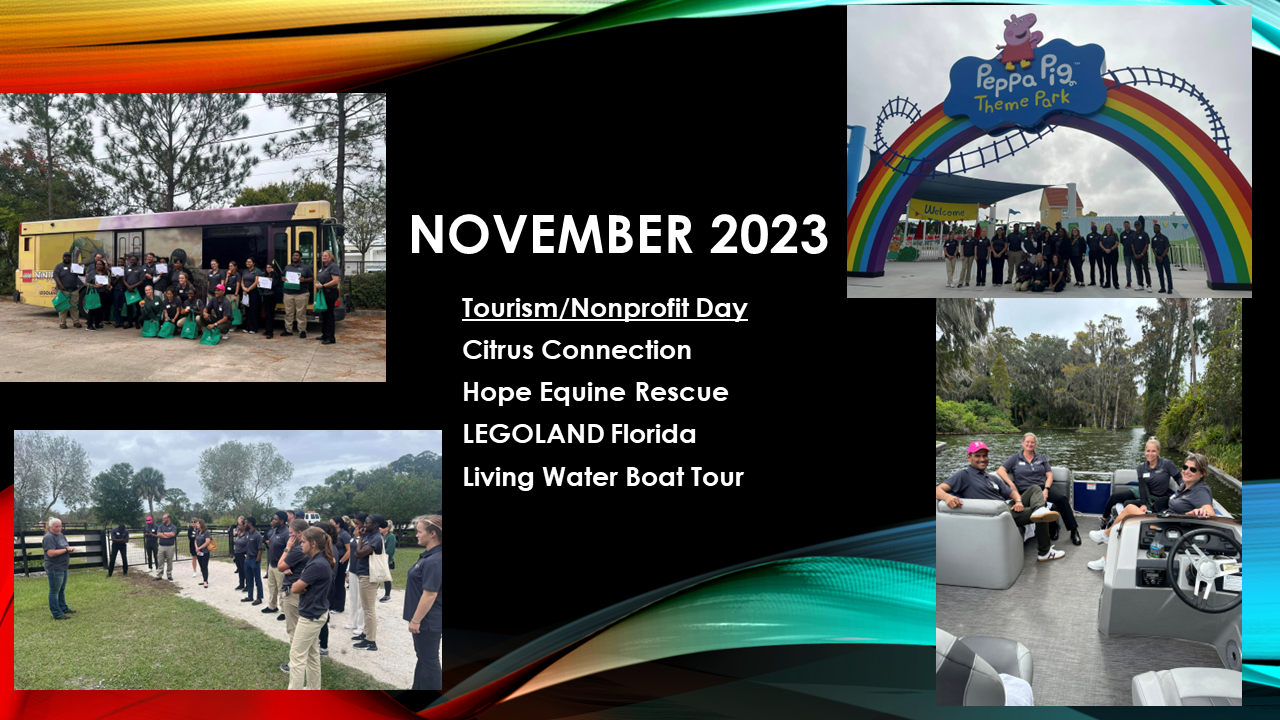 A collage of pictures with the date november 2023 on it