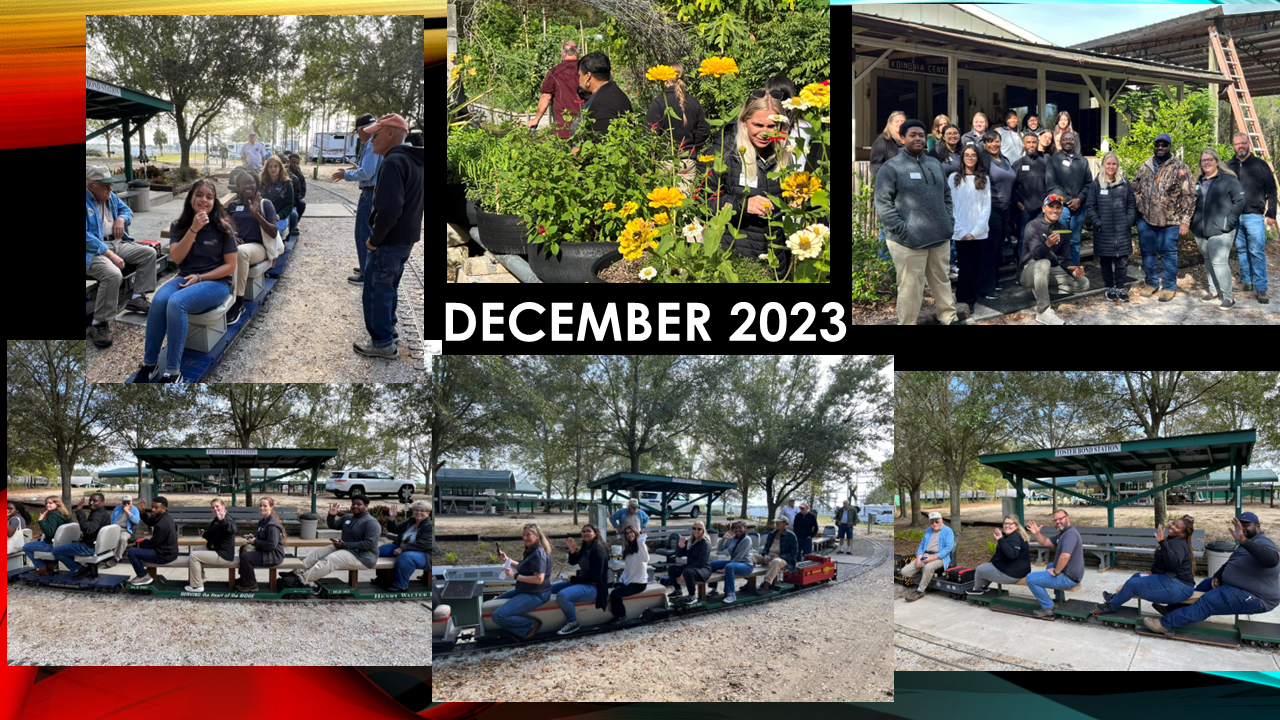 A group of people are sitting on a train.