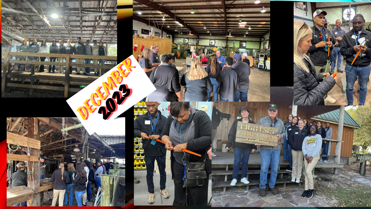 A collage of photos of people standing in a room.