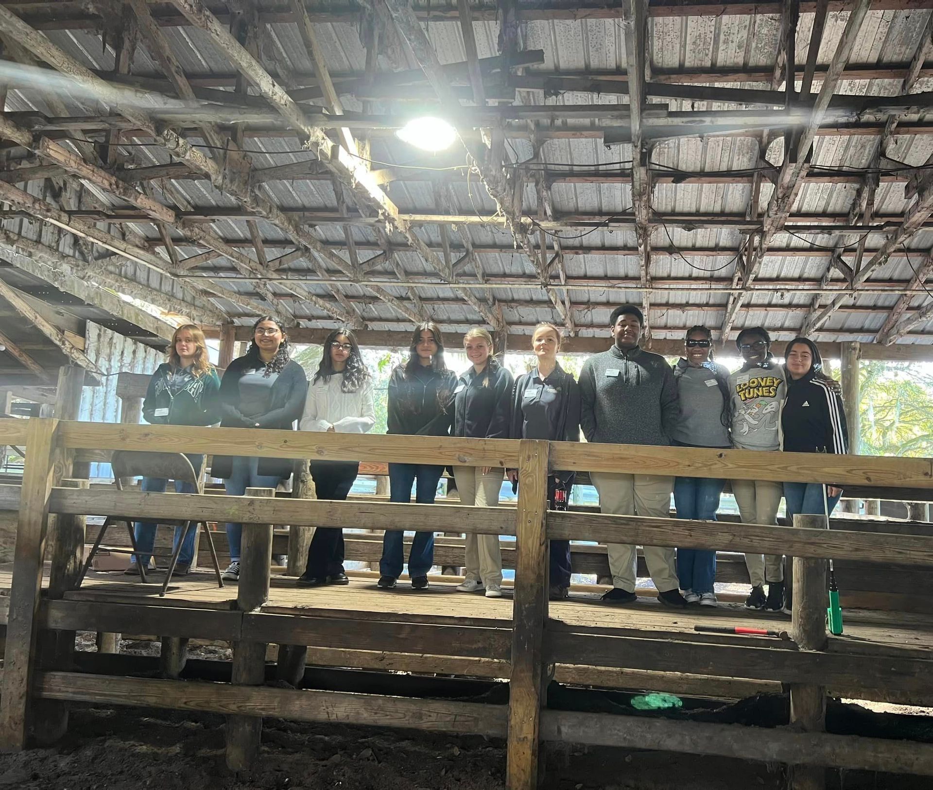 A group of people standing on top of a wooden fence in a barn.